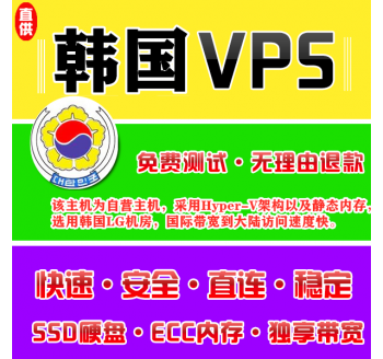 韩国VPS推荐8912M购买，弗吉尼亚州站群服务器